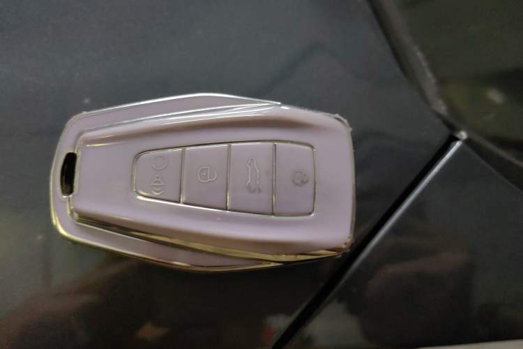 Used Geely Auto Monjaro L 2021 2.0TD DCT EVO Two-Wheel Drive Prestige Version
