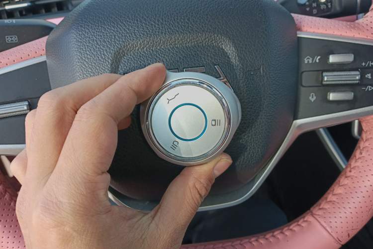 Used NETA V 2022 Chao 400 Lite Pink Custom Edition
