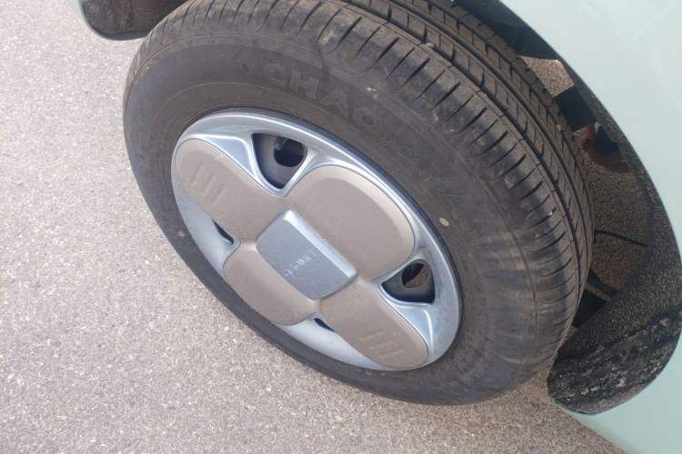 Used  Panda 2024 Panda Mini 200km Endurance Bear
