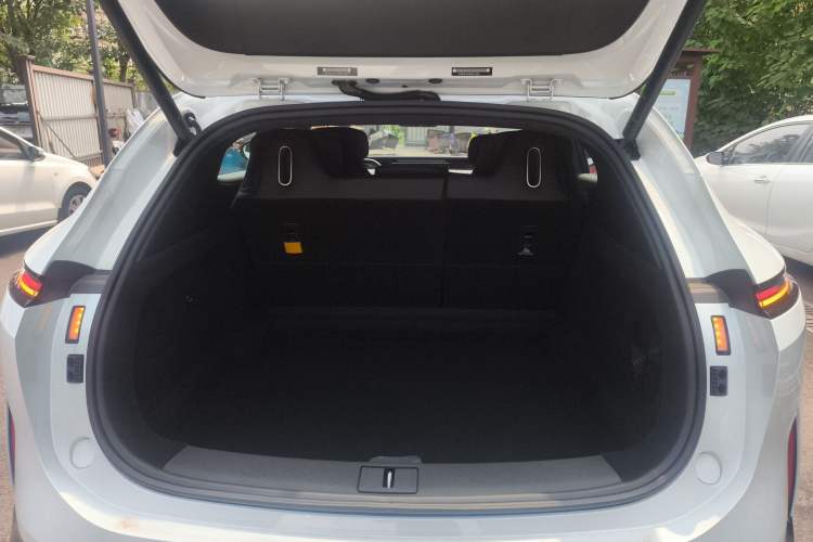 Used  07 2024 Max Pure Electric Edition