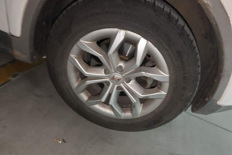 Used BORGWARD BX5 2017 20TGDI Automatic Two-Wheel Drive Pioneer Edition
