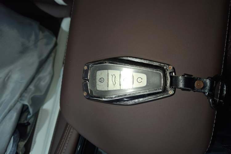 Used Geely Auto Monjaro L 2024 2.0TD High-Power Automatic Two-Wheel Drive Yunqi Version