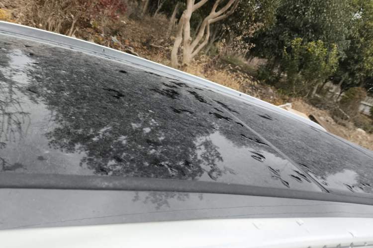 Used BYD Tang New Energy 2021 DM-i 112KM Prestige Model