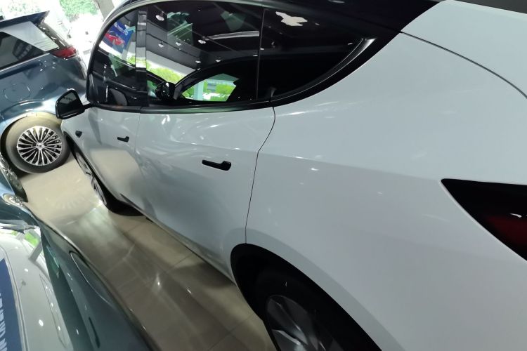 Used Tesla Model Y 2021 Standard Range Rear-Wheel Drive Version
