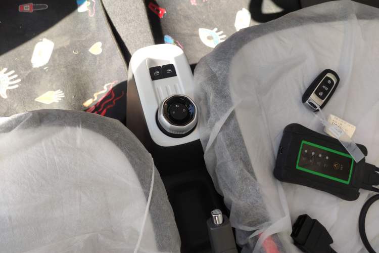 Used  Panda 2025 210 km – Yuanqi Bear