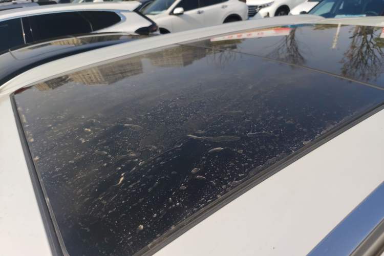 Used BMW X1 2021 sDrive20Li Premium Edition
