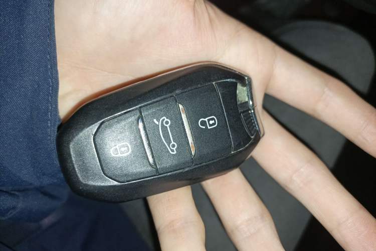 Used  7 2020 35THP Montmartre Edition
