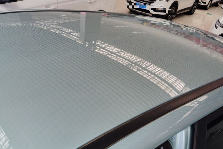 Used NETA V 2021 Long-Range Entertainment Edition Upgrade Model
