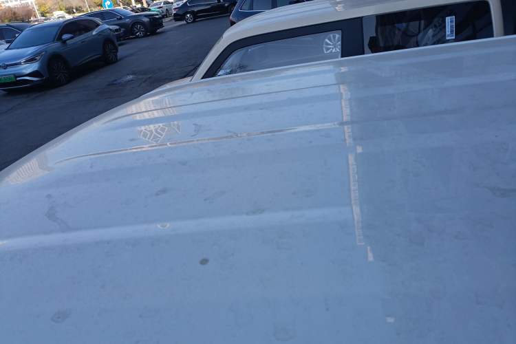 Used  Panda 2024 Panda Mini 200km Endurance Bear