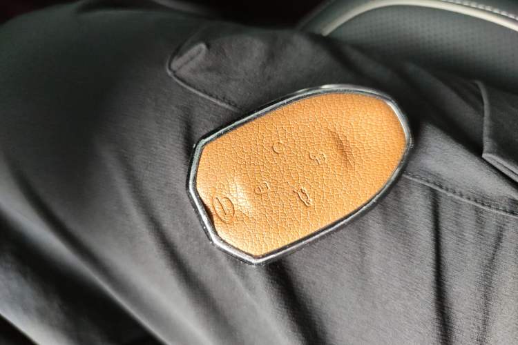 Used GAC Trumpchi GS8 2022 Double-Energy Series 2.0TM Four-Wheel Drive Premium Edition (7 Seats)
