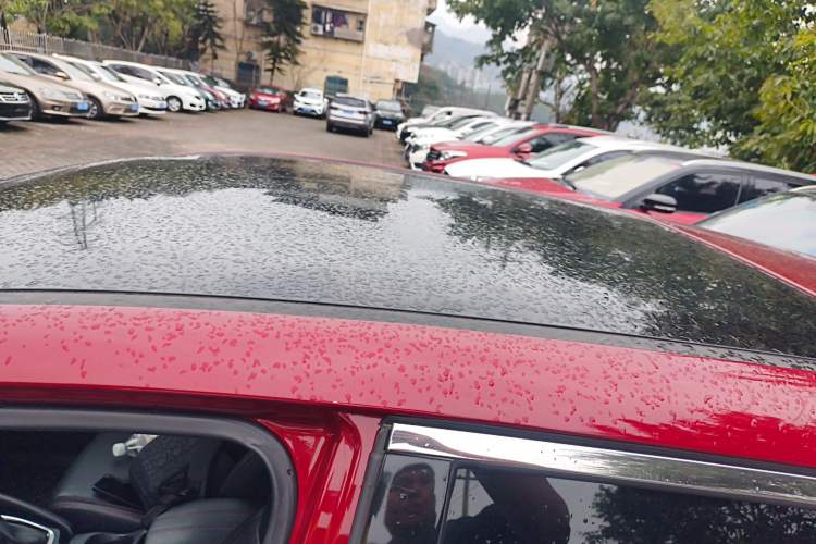 Used Nissan Qashqai 2021 2.0L CVT Luxury Edition