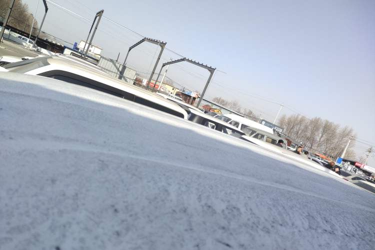 Used  Panda 2024 Panda Mini 200km Endurance Bear
