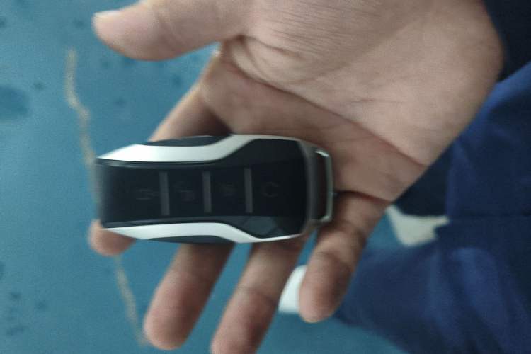 Used BYD Tang New Energy 2021 DM-i 112KM Prestige Model