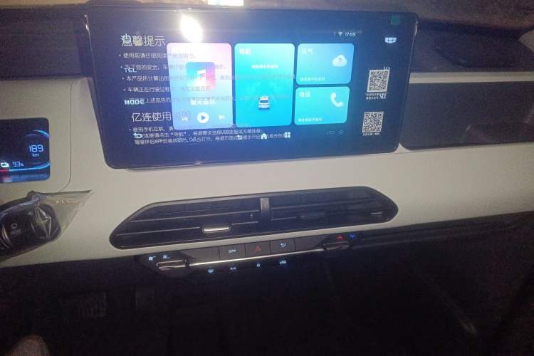 Used  Panda 2025 210 km – Yuanqi Bear
