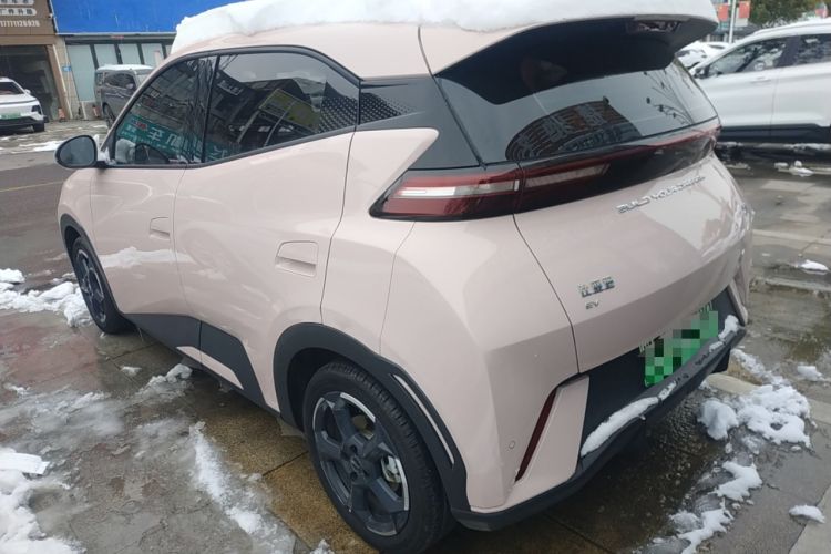 Used BYD Seagull 2024 Honor Edition 305km Freedom Version
