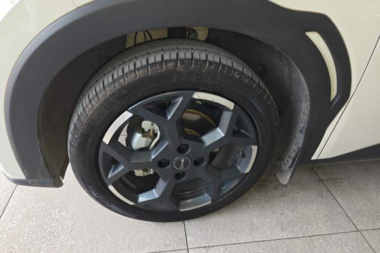 Used BYD Seagull 2025 305 km Free Version
