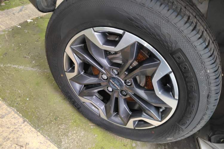 Used Haval DARGO 2021 2.0T DCT 4x4 Chinese Rural Dog Edition
