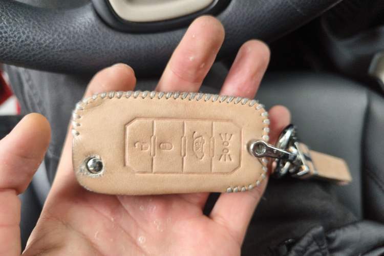 Used  Renegade 2017 180T Automatic High-Energy Version