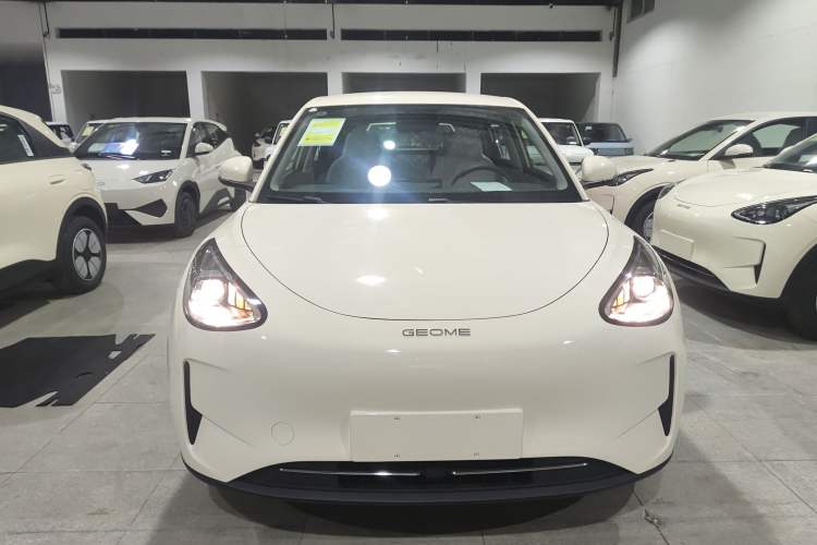 Used  Geome 2025 310km Youth Edition
