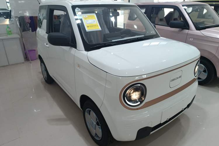 Used  Panda 2024 Panda Mini 200km Endurance Bear
