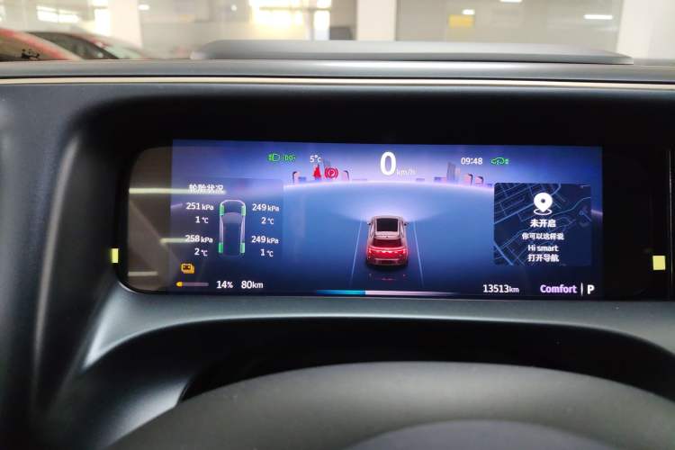 Used  #5 2024 Jungle Realm Limited Edition