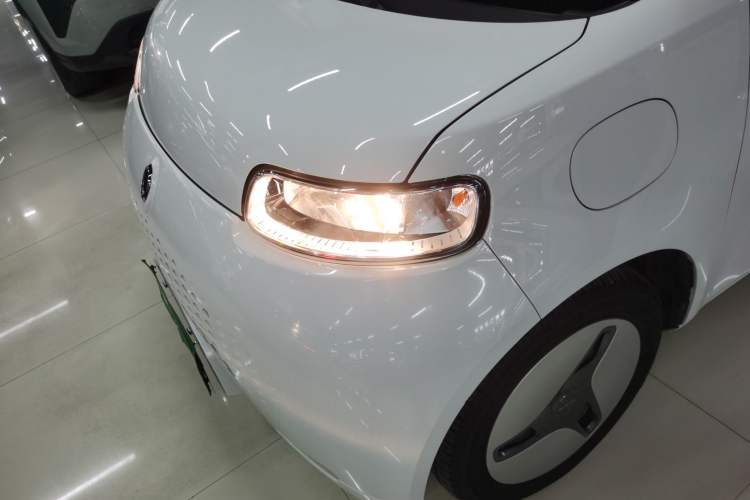 Used ORA White Cat 2020 360 km Luxury Version