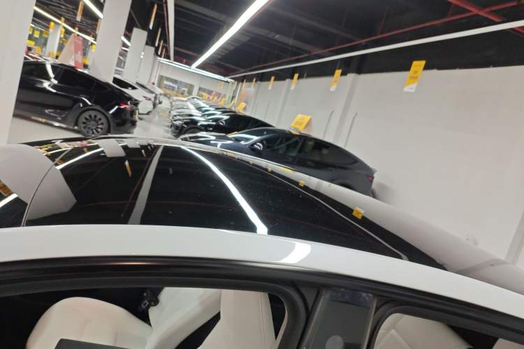 Used Tesla Model Y 2023 Long-Range All-Wheel-Drive Version