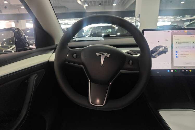 Used Tesla Model Y 2021 Standard Range Rear-Wheel Drive Version