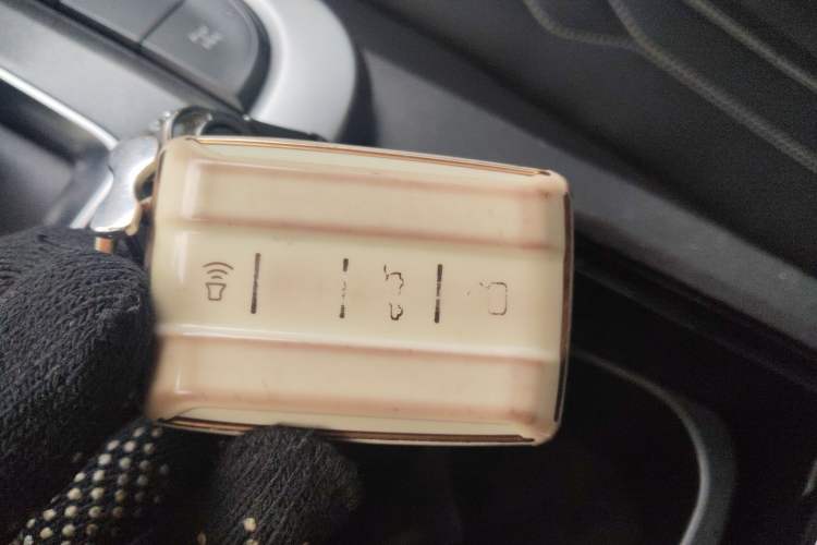 Used Tank 300 2023 Off-Road Edition 2.0T Challenger
