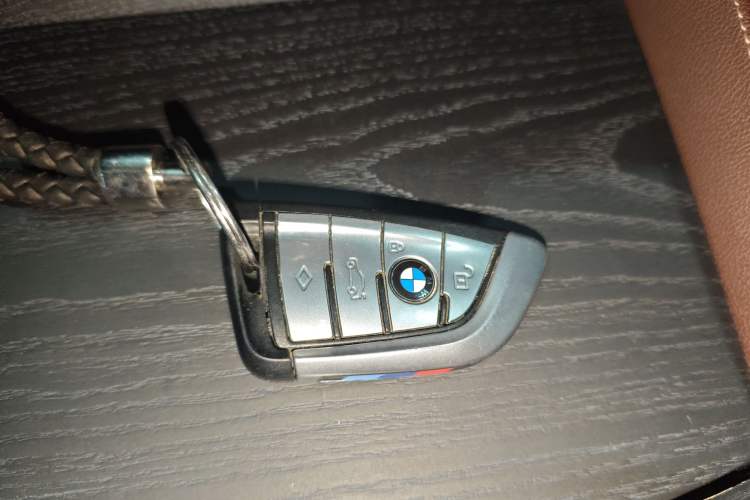 Used BMW 5 Series 2021 530Li Leading Model M Sport Package
