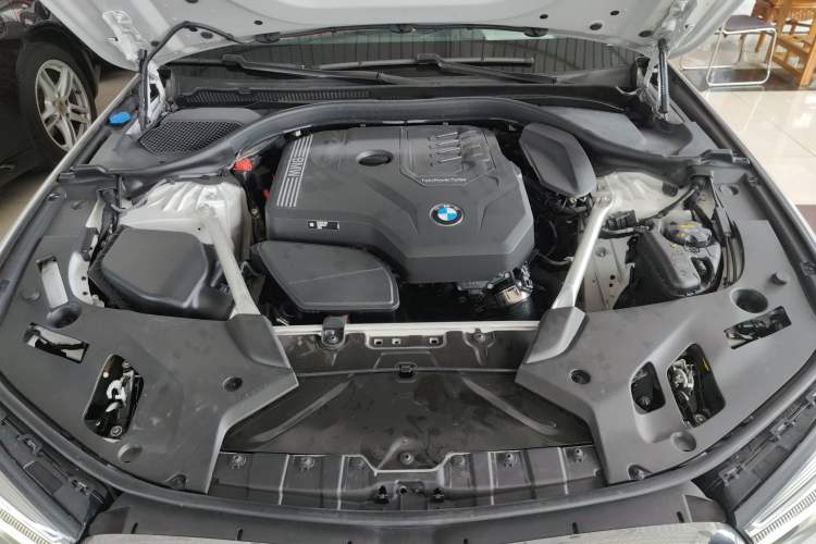 Used BMW 5 Series 2022 Second Facelift 525Li Luxury Package
