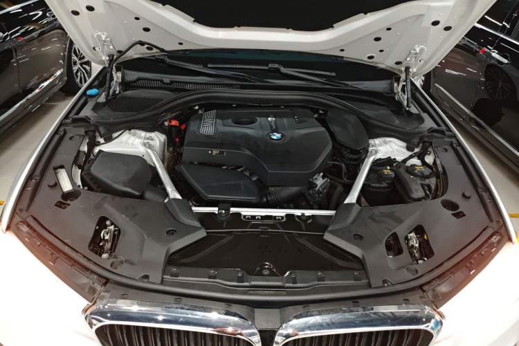 Used BMW 5 Series 2019 Restyled 530Li Luxury Edition M Sport Package
