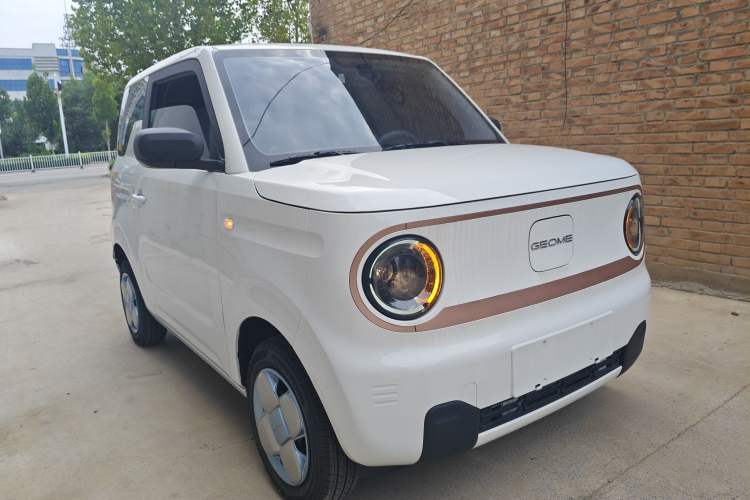 Used  Panda 2024 Panda Mini 200km Endurance Bear
