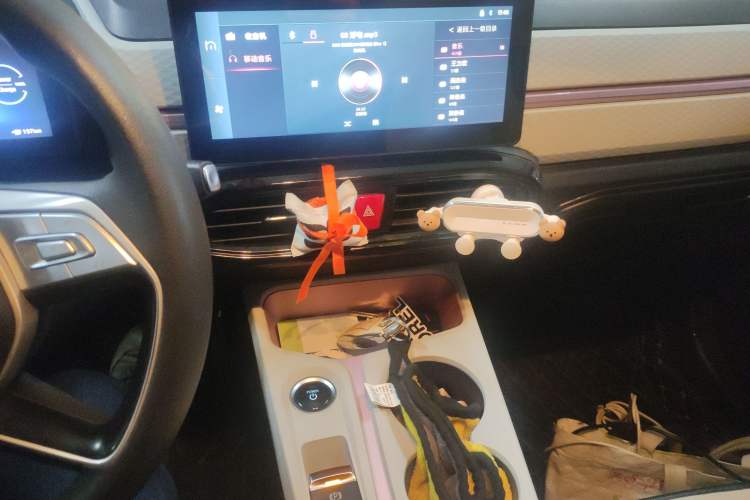 Used SOL E10X 2022 Flower Fairy Design Four-Leaf Clover
