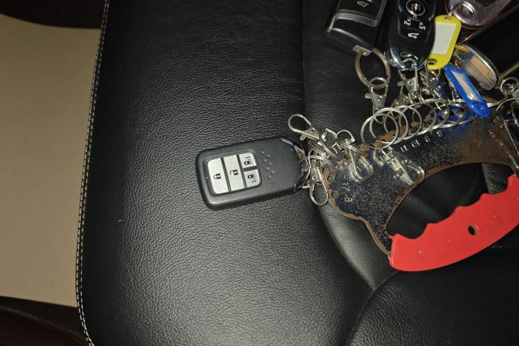 Used Honda Elysion 2019 2.0L Hybrid Luxury Edition