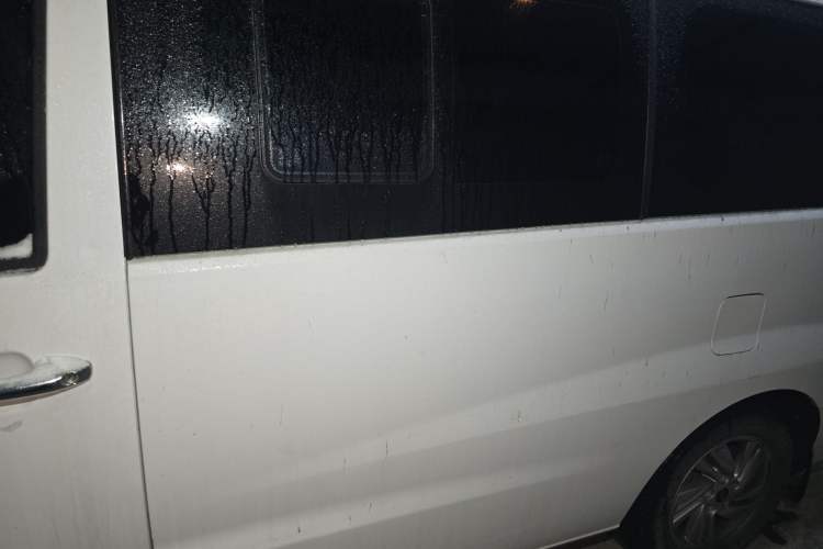 Used  M4 2019 Joyful Series 2.0L Manual Business Model China VI