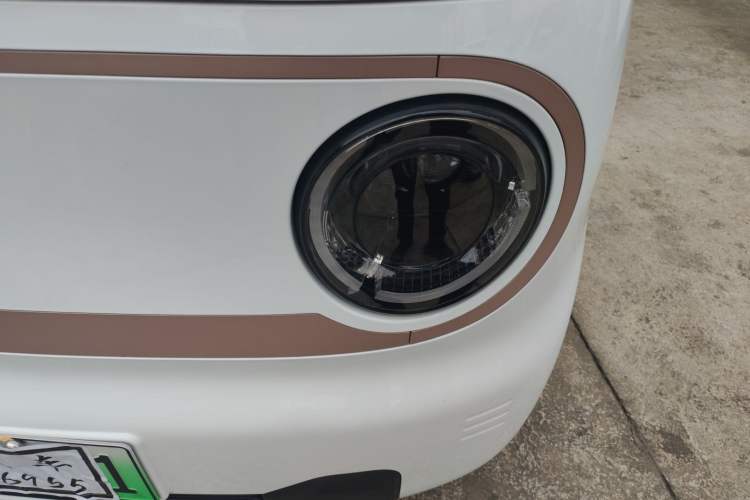 Used  Panda 2023 Panda Mini 120km Super Cute Bear