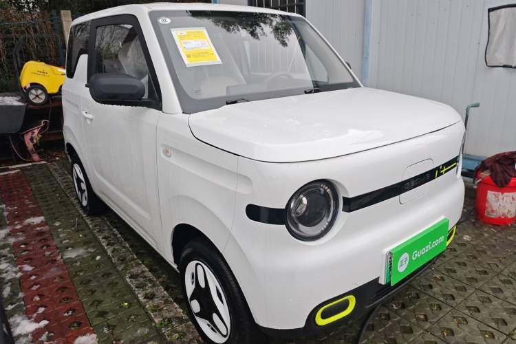 Used  Panda 2025 210 km – Yuanqi Bear
