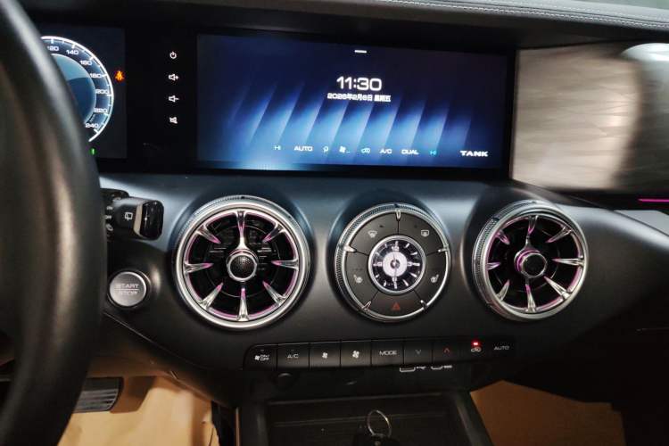 Used Tank 300 2024 2.0T Conqueror