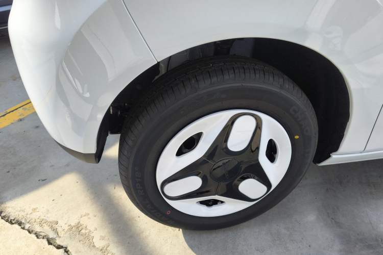 Used  Panda 2025 210 km – Yuanqi Bear
