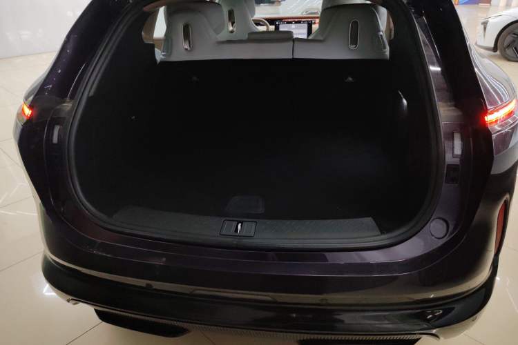 Used  07 2024 Pro+ All-Electric Version
