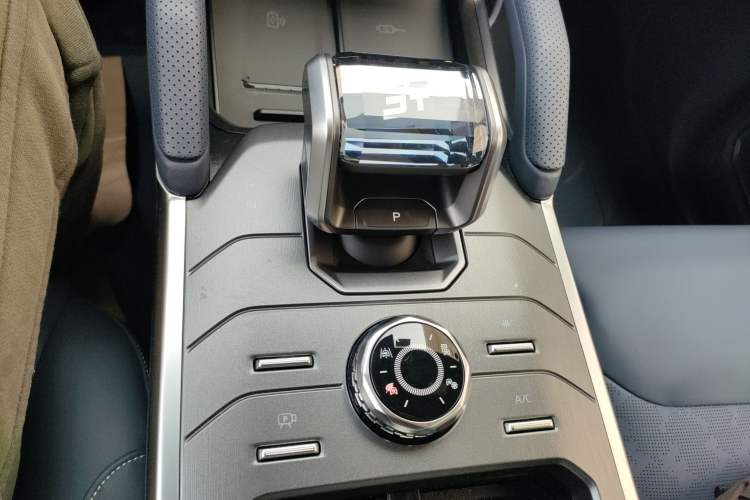 Used  Shanhai T2 2024 C-DM 208KM Mountain & Wilderness Edition
