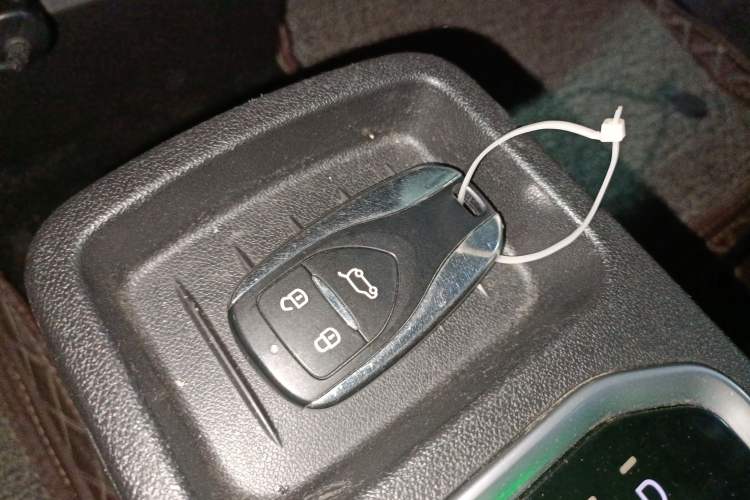 Used Dayun Yuehu 2021 32.85 kWh Two-Wheel-Drive Sprite Version
