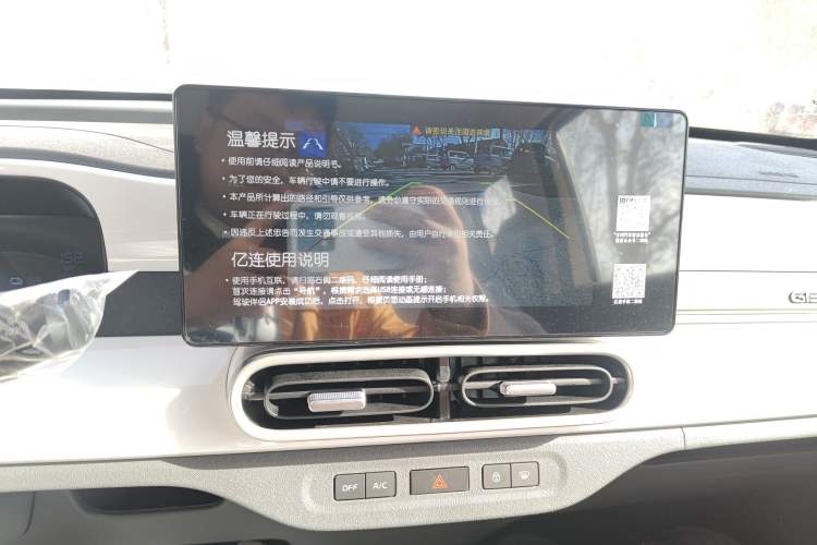 Used  Panda 2025 210 km – Yuanqi Bear
