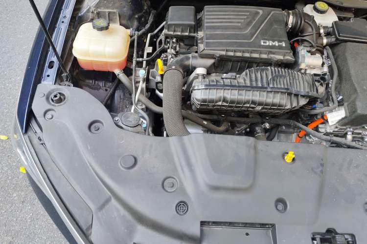 Used BYD Qin PLUS 2024 HONOR Edition DM-i 55KM Leading Model
