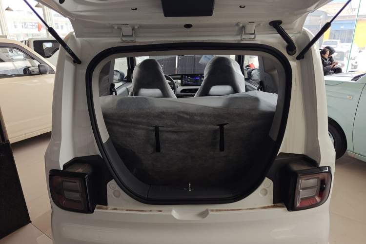 Used  Panda 2024 Panda Mini 200km Endurance Bear