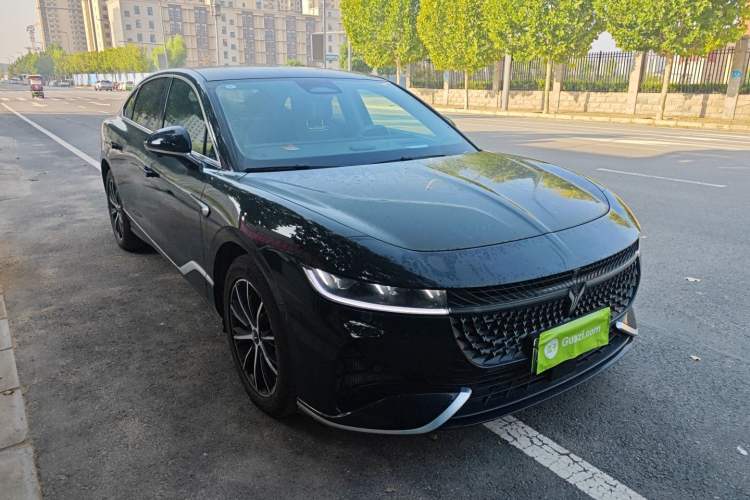 Used VOYAH PASSION 2024 PHEV Four-Wheel Drive Ultra-Long Range Executive Edition
