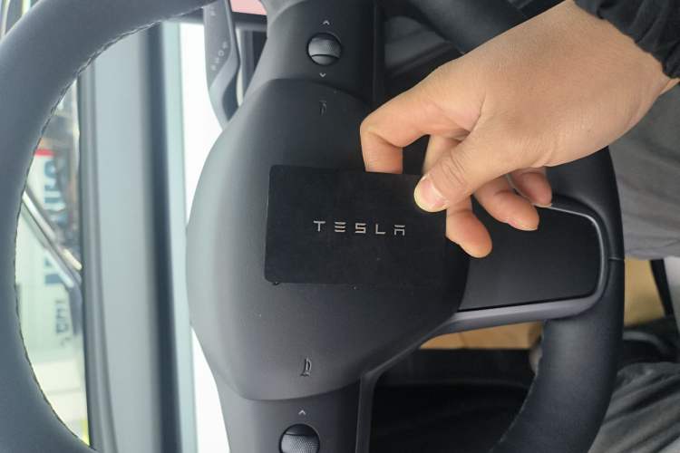 Used Tesla Model Y 2022 Long-Range All-Wheel-Drive Version