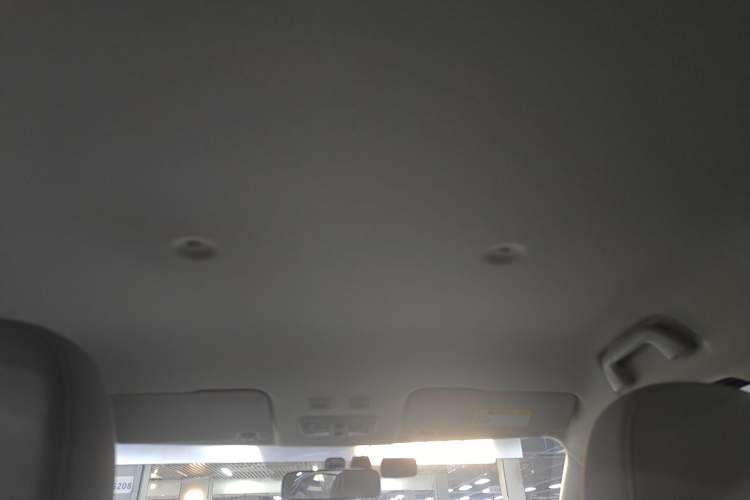 Used ORA White Cat 2020 305 km Luxury Version
