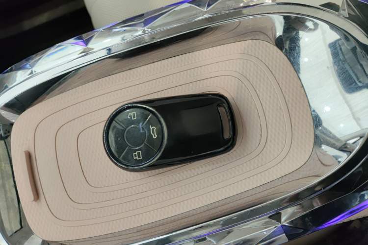 Used ORA Ballet Cat 2022 401 km Nutcracker Edition